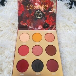 Colourpop glam eyeshadow palette.